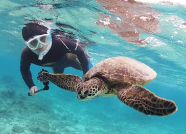 アマミエンシスに投稿された画像（2020/4/2）