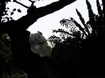 アスムイハイクスに投稿された画像（2020/4/2）