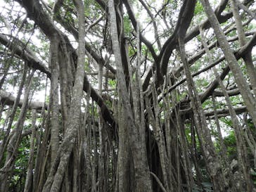 アスムイハイクスに投稿された画像（2020/4/2）