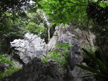 アスムイハイクスに投稿された画像（2020/4/2）