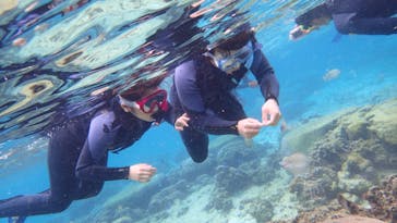 ダイビングショップ Sea Free（シーフリー）に投稿された画像（2020/4/3）