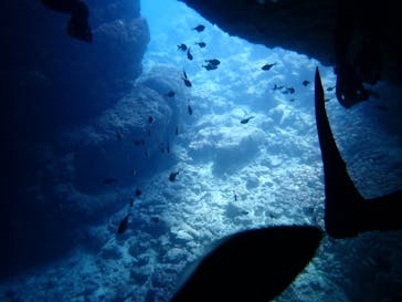 マリンクラブジジに投稿された画像（2020/4/3）