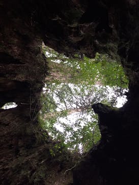 Yamakara屋久島に投稿された画像（2020/4/3）