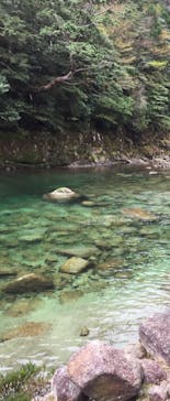 Yamakara屋久島に投稿された画像（2020/4/3）