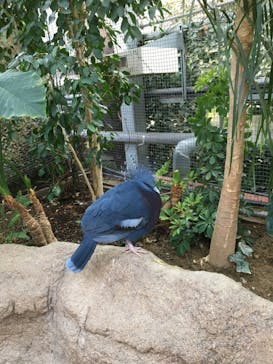 神戸どうぶつ王国に投稿された画像（2020/4/3）