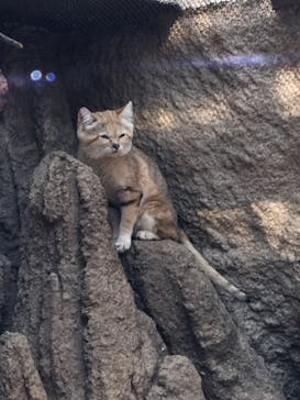 神戸どうぶつ王国に投稿された画像（2020/4/3）