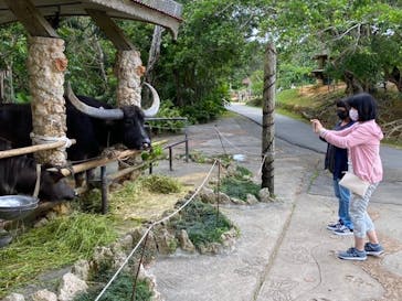 ビオスの丘に投稿された画像（2020/4/3）