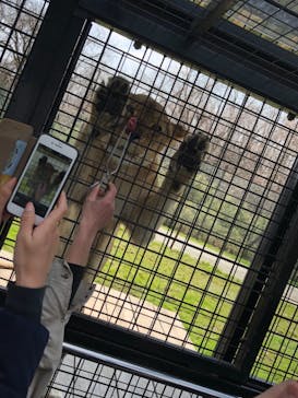 那須サファリパークに投稿された画像（2020/4/4）