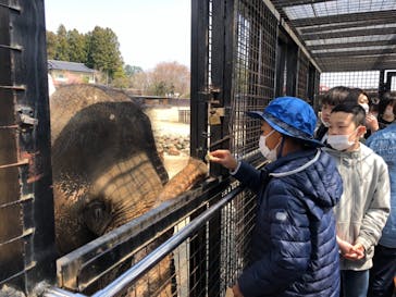 那須サファリパークに投稿された画像（2020/4/4）