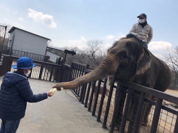 那須サファリパークに投稿された画像（2020/4/4）