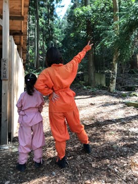 赤目四十八滝エコツアーデスクに投稿された画像（2020/4/4）