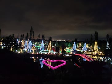 美らヤシパークオキナワ・東南植物楽園に投稿された画像（2020/4/4）