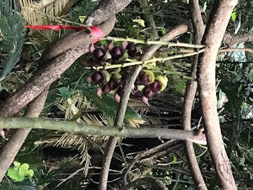 アスムイハイクスに投稿された画像（2020/4/5）