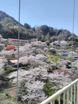 別府ケーブルラクテンチに投稿された画像（2020/4/6）