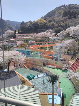 別府ケーブルラクテンチに投稿された画像（2020/4/6）