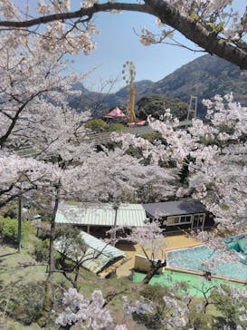 別府ケーブルラクテンチに投稿された画像（2020/4/6）