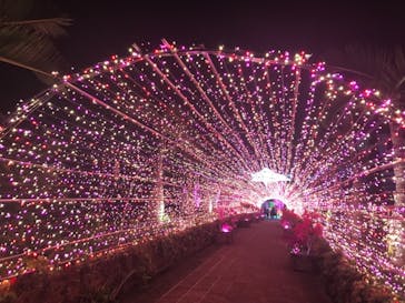 美らヤシパークオキナワ・東南植物楽園に投稿された画像（2020/4/6）