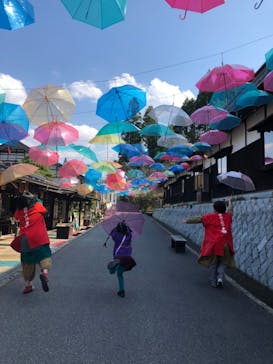 加賀 伝統工芸村　ゆのくにの森に投稿された画像（2020/4/6）