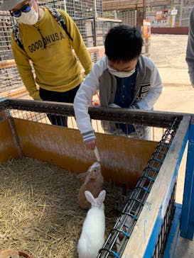 しろとり動物園に投稿された画像（2020/4/6）