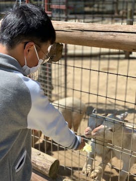 しろとり動物園に投稿された画像（2020/4/6）