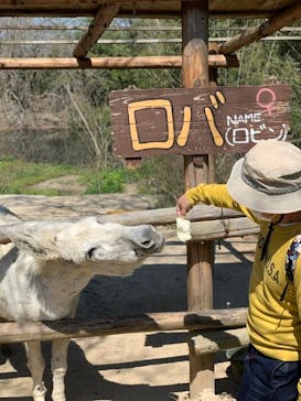 しろとり動物園に投稿された画像（2020/4/6）
