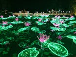 美らヤシパークオキナワ・東南植物楽園に投稿された画像（2020/4/7）