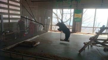 のぼりべつクマ牧場に投稿された画像（2020/4/7）