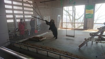 のぼりべつクマ牧場に投稿された画像（2020/4/7）