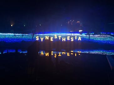 KYOTO ILLUMINATION SYNESTHESIA HILLS るり渓温泉に投稿された画像（2020/4/7）