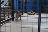しろとり動物園に投稿された画像（2020/4/11）