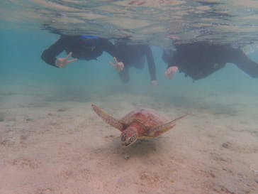 宮古島 ADVENTURE PiPi（ミヤコジマ アドベンチャー ピピ）に投稿された画像（2020/4/12）