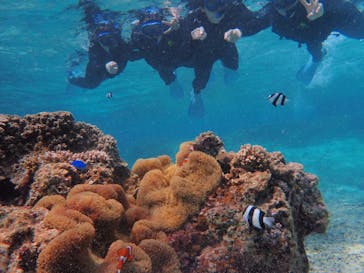 宮古島 ADVENTURE PiPi（ミヤコジマ アドベンチャー ピピ）に投稿された画像（2020/4/12）