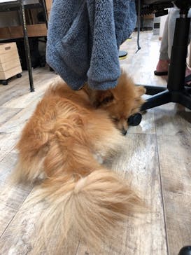 Countless River（カウントレスリバー）に投稿された画像（2020/4/18）