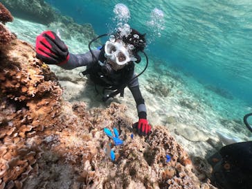武藤潜水に投稿された画像（2020/4/18）