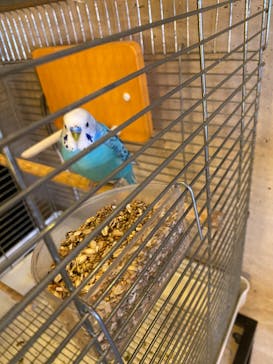 サウナリゾート オリエンタルに投稿された画像（2020/5/6）