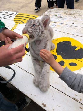 しろとり動物園に投稿された画像（2020/5/9）