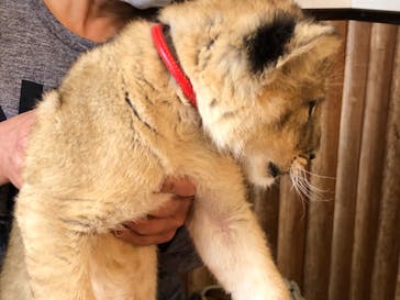 しろとり動物園に投稿された画像（2020/5/9）