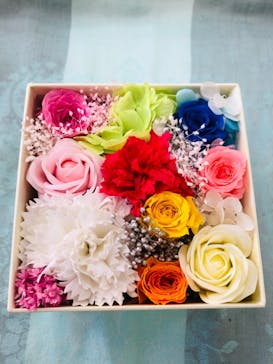 ずこうしつ〜sugamo〜に投稿された画像（2020/5/11）