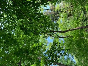 モダン湯治 おんりーゆーに投稿された画像（2020/5/11）