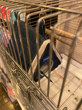 サウナリゾート オリエンタルに投稿された画像（2020/5/16）