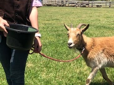 マザー牧場に投稿された画像（2020/5/17）