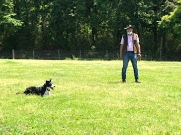 マザー牧場に投稿された画像（2020/5/17）