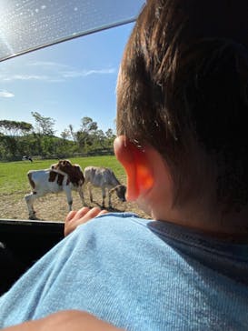 マザー牧場に投稿された画像（2020/5/17）