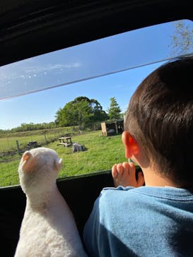 マザー牧場に投稿された画像（2020/5/17）