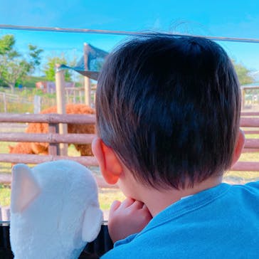 マザー牧場に投稿された画像（2020/5/17）