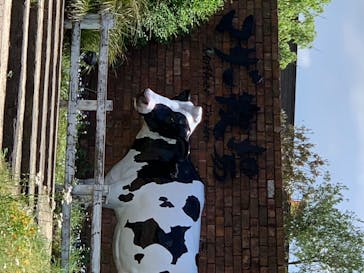 マザー牧場に投稿された画像（2020/5/17）