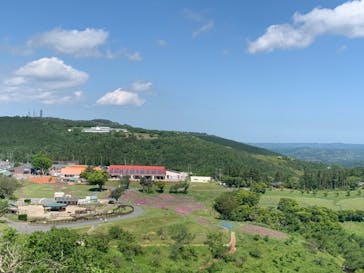 マザー牧場に投稿された画像（2020/5/17）