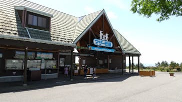 マザー牧場に投稿された画像（2020/5/17）