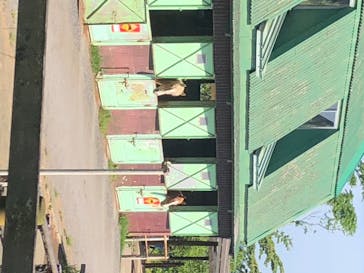 マザー牧場に投稿された画像（2020/5/17）