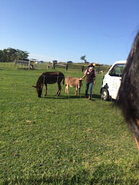 マザー牧場に投稿された画像（2020/5/17）